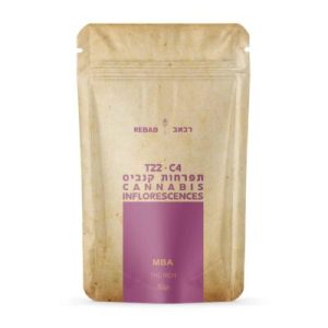 רבאב (Rebab) – MBA – אינדיקה T22/C4