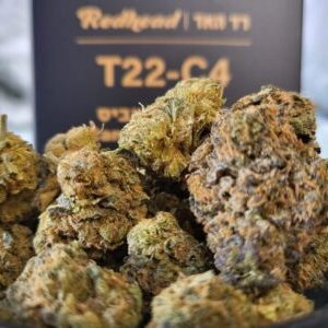 רד האד (Redhead) – סאטיבה T22/C4