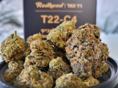 רד האד (Redhead) – סאטיבה T22/C4