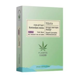 רוטרדם מיניז (Rotterdam Miniz) – אינדיקה T22/C4