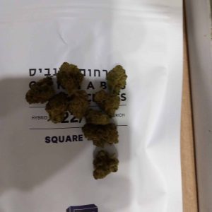 ריבוע (Square) – היבריד T22/C4