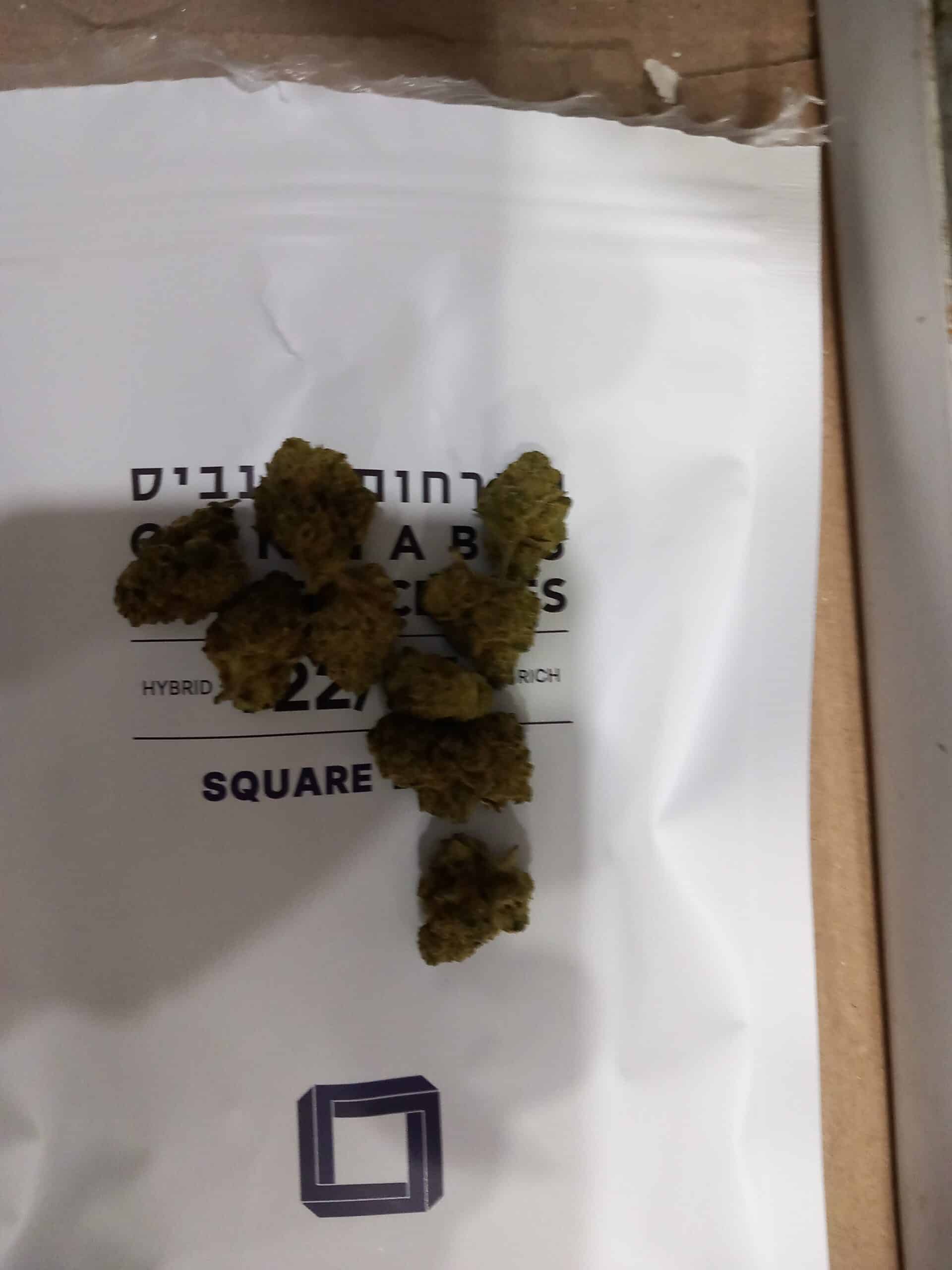 ריבוע (Square) – היבריד T22/C4