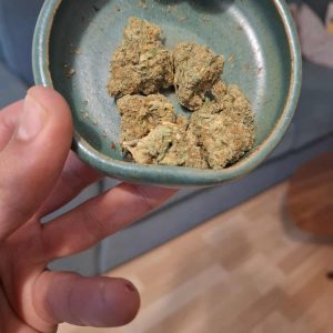 שאפ-או (Shap-O) – אינדיקה T22/C4