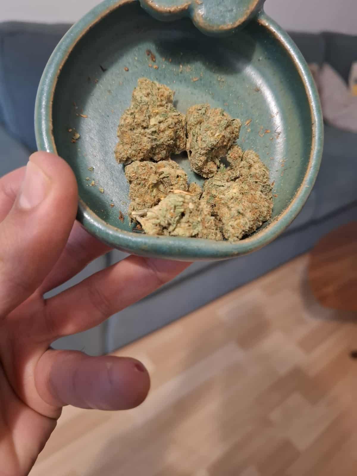 שאפ-או (Shap-O) – אינדיקה T22/C4