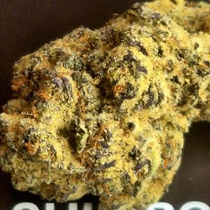 שיפיבו (Shipibo) – אינדיקה T22/C4