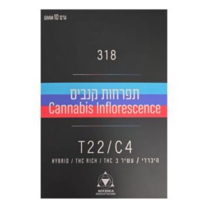 שלוש אחד שמונה (318) – היבריד T22/C4