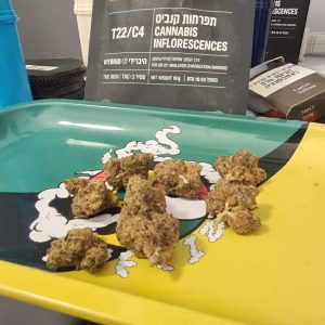 שרב-זי (Sherb-Z) – היבריד T22/C4