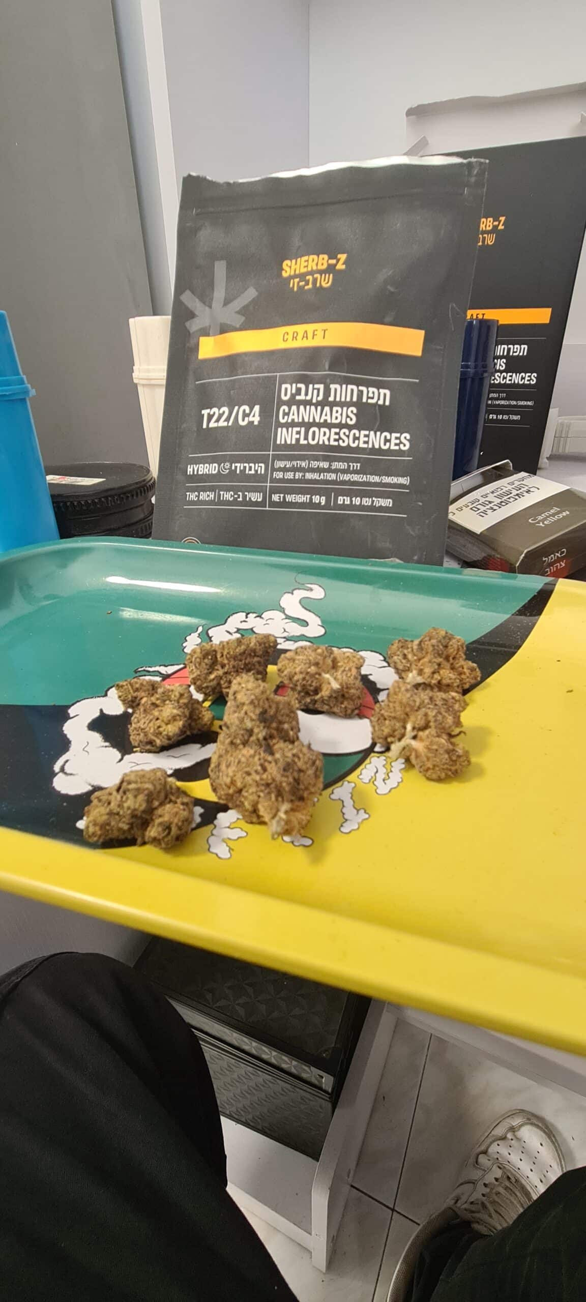 שרב-זי (Sherb-Z) – היבריד T22/C4